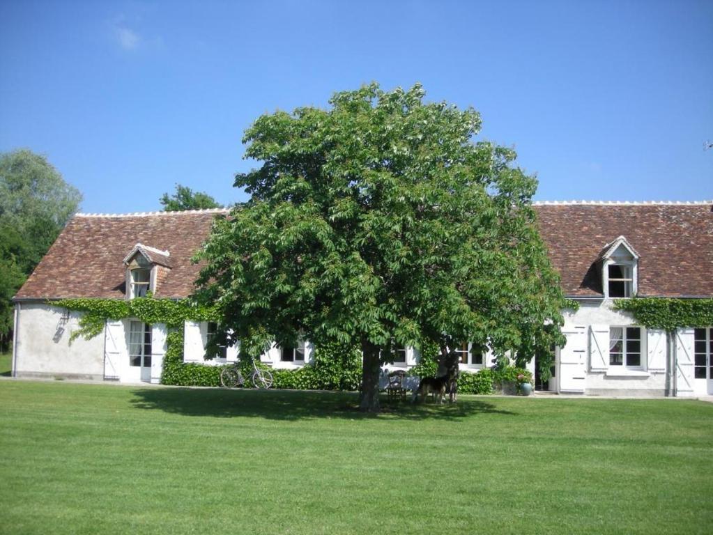 La Touche Bed and Breakfast Menetou-sur-Nahon Esterno foto